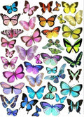 Butterflies Resin color sticker