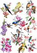 Birds and Flowers Resin color sticker