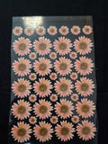 Uv Sticker Daisy Flower