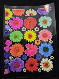 Uv Sticker Mix Daisy Flowers