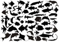 Sea Fishes Resin color sticker