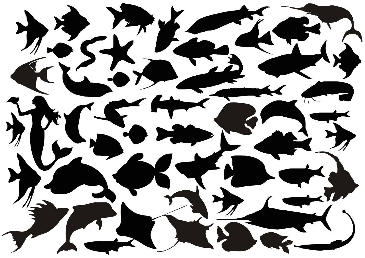 Sea Fishes Resin color sticker