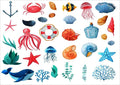 Seasonstorm Resin color sticker