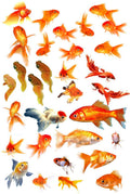 Gold Fishes Resin color sticker