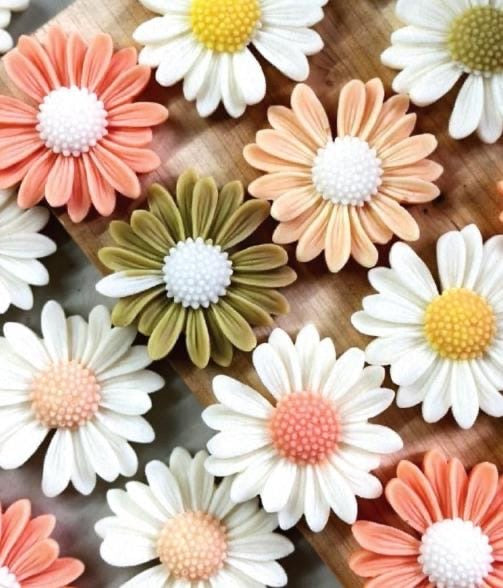 Big Daisy  3D flower mould