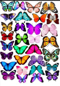 Butterfly design Resin color sticker