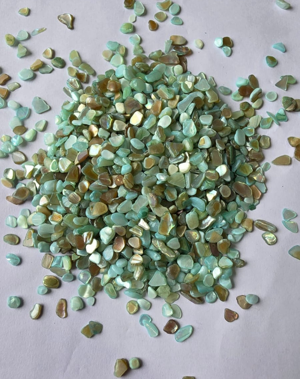 Shell chips stone