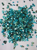 Shell chips stone