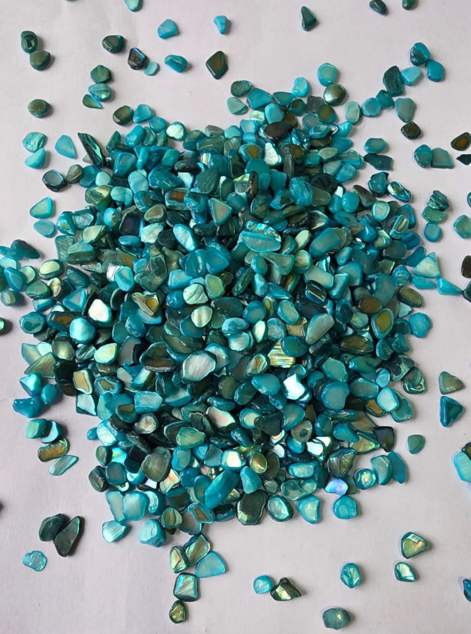 Shell chips stone