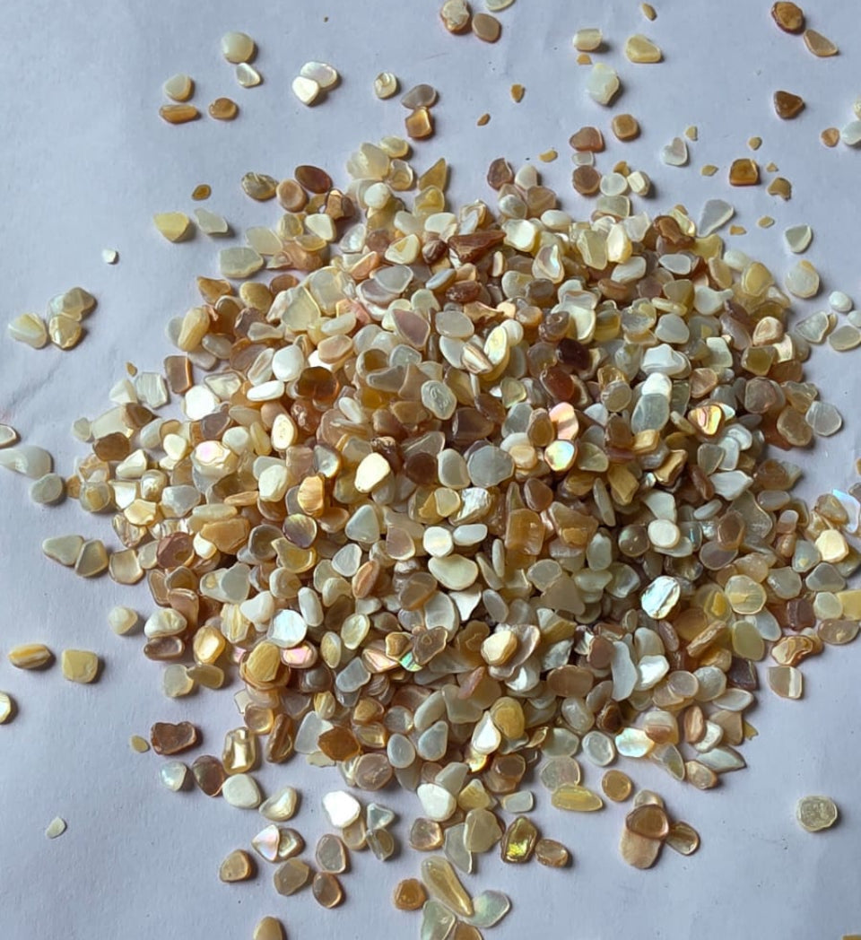 Shell chips stone