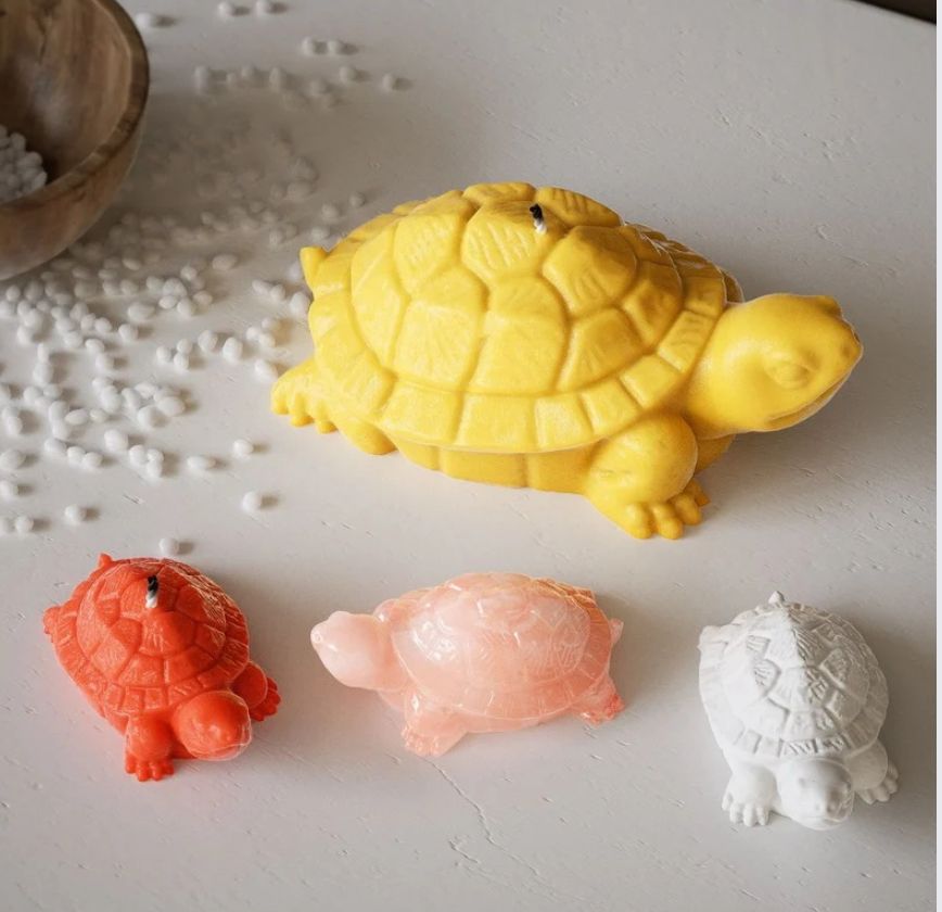 Tortoise Mould