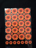 Uv Sticker Orange Daisy